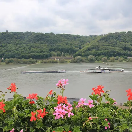 Rebenhang35 * Lorch am Rhein